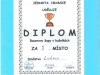 skmbt_c25313032108270_0046